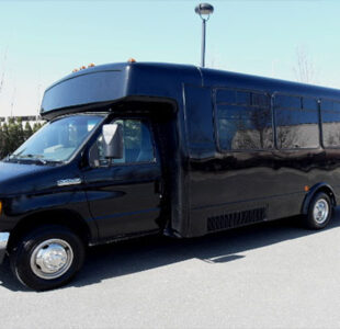 18 Passenger Party Buses Atlanta