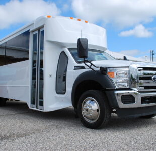 22 Passenger Party Bus Rental Atlanta Georgia