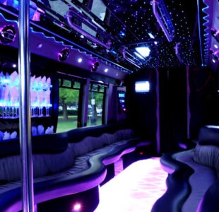 22 Seater Party Bus Atlanta GA