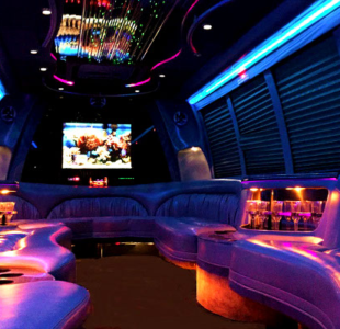 Atlanta 18 Passenger Party Bus